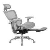 Temple &amp; Webster Ergoperform Mesh Office Chair with Footrest