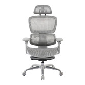 Temple &amp; Webster Ergoperform Mesh Office Chair with Footrest