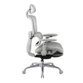 Temple &amp; Webster Ergoperform Mesh Office Chair with Footrest