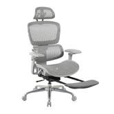 Temple &amp; Webster Ergoperform Mesh Office Chair with Footrest