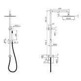 Temple &amp; Webster Carson Gooseneck Twin Shower