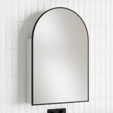 Temple &amp; Webster Liberty 600mm Arch Mirrored Shaving Cabinet