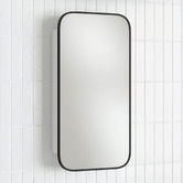 Temple &amp; Webster Liberty 450mm Mirrored Shaving Cabinet