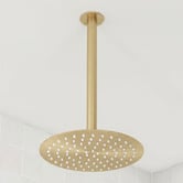 Temple &amp; Webster Clovelly 250mm Shower Head