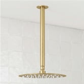 Temple &amp; Webster Clovelly 300mm Ceiling Shower Arm