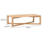 Temple &amp; Webster Dimitri Rectangular Coffee Table