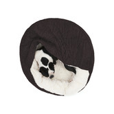 Charlies Pet Product Snookie Hooded Calming Dog Bed
