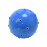 Charlies Pet Product Blue Thirst Quencher Cooling Ball Dog Ball