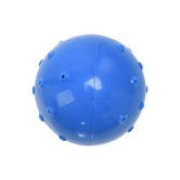 Charlies Pet Product Blue Thirst Quencher Cooling Ball Dog Ball