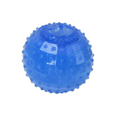 Charlies Pet Product Blue Freezy Ball Dog Toy