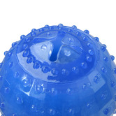 Charlies Pet Product Blue Freezy Ball Dog Toy