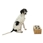 Charlies Pet Product Bamboo Dog Feeder with Stainless Steel Bowls