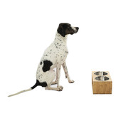 Charlies Pet Product Bamboo Dog Feeder with Stainless Steel Bowls