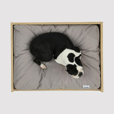Charlies Pet Product Scandi Elevated Pet Bed