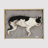 Charlies Pet Product Scandi Elevated Pet Bed