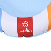 Charlies Pet Product Beach Ball Dog Float