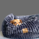 Charlies Pet Product Ascher Plush Corduroy Square Dog Bed