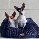 Charlies Pet Product Ascher Plush Corduroy Square Dog Bed