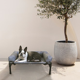 Charlies Pet Product Elevated Trampoline Bolster Dog Sofa Bed