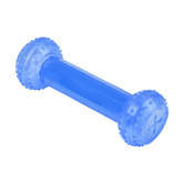 Charlies Pet Product Blue Freezy Dumbbell Dog Toy