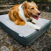 Charlies Pet Product Orthopaedic Foam Dog Crate Mattress