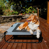 Charlies Pet Product Adventure Foldable Pet Bed