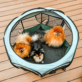 Charlies Pet Product Charlie&#039;s Foldable Pet Playpen