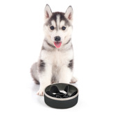 Charlies Pet Product Balto Insulated Dog Bowl with Slow Feeder Insert