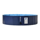 Charlies Pet Product Splash Society Foldable Sprinkler Pet Pool