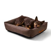 Charlies Pet Product Brody Linen-Look Dog Bed