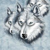 Chiswick Living Artic Wolf Ranis King Blanket