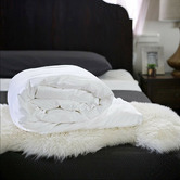 Radisson Home White Haven Mulberry Silk Quilt