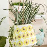 High St. 60cm Faux Hanging Spider Plant Bush