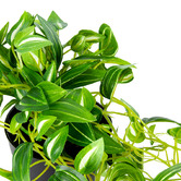 High St. 72cm Faux Potted Hanging Green Weeper Plant