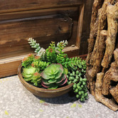 High St. Potted Faux Mixed Succulents