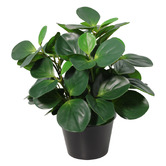 High St. 33cm Potted Faux Peperomia Plant