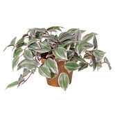 High St. 25cm Potted Faux Wandering Jew Plant