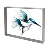 Belle Avenue Kingfisher Flourish Framed Print