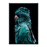 Belle Avenue Azsure Cocky Framed Printed Wall Art