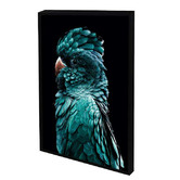 Belle Avenue Azsure Cocky Framed Printed Wall Art