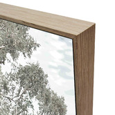 Belle Avenue Stringybark Tree Framed Canvas Wall Art