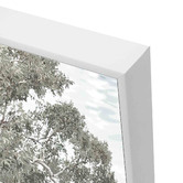 Belle Avenue Stringybark Tree Framed Canvas Wall Art