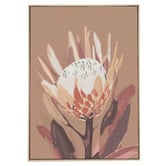 Belle Avenue Chestnut Protea Canvas Wall Art
