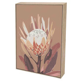 Belle Avenue Chestnut Protea Canvas Wall Art