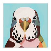 Belle Avenue Budgerigar Twilight Henry Canvas Wall Art