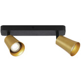 Bright Sea Lighting Alvey 2 Light Metal Spotlight