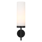 Bright Sea Lighting Alexia Metal &amp; Glass Wall Lamp