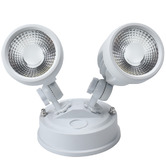 Bright Sea Lighting Luxer 2 Light 20W LED Sensor Spotlight
