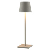 Bright Sea Lighting Caia Iron LED Cordless Table Lamp with USB