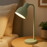 Bright Sea Lighting Pivot Iron Gooseneck Desk Lamp